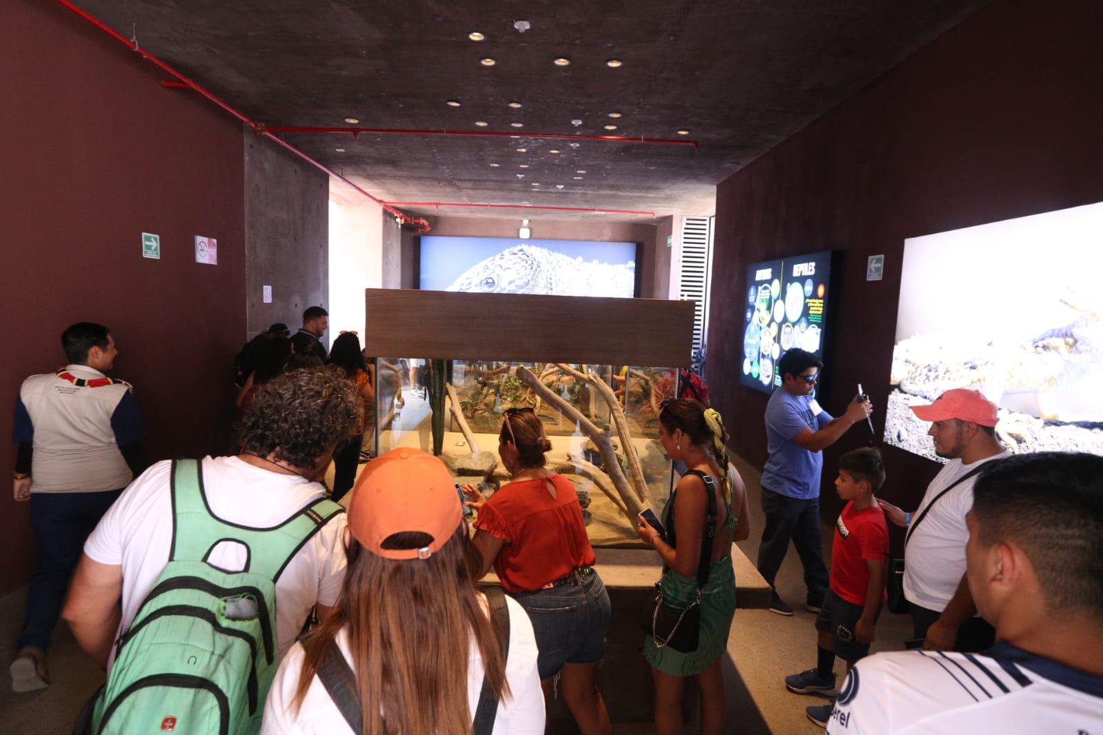 $!El Gran Acuario Mazatlán recibió a sus primeros visitantes este sábado