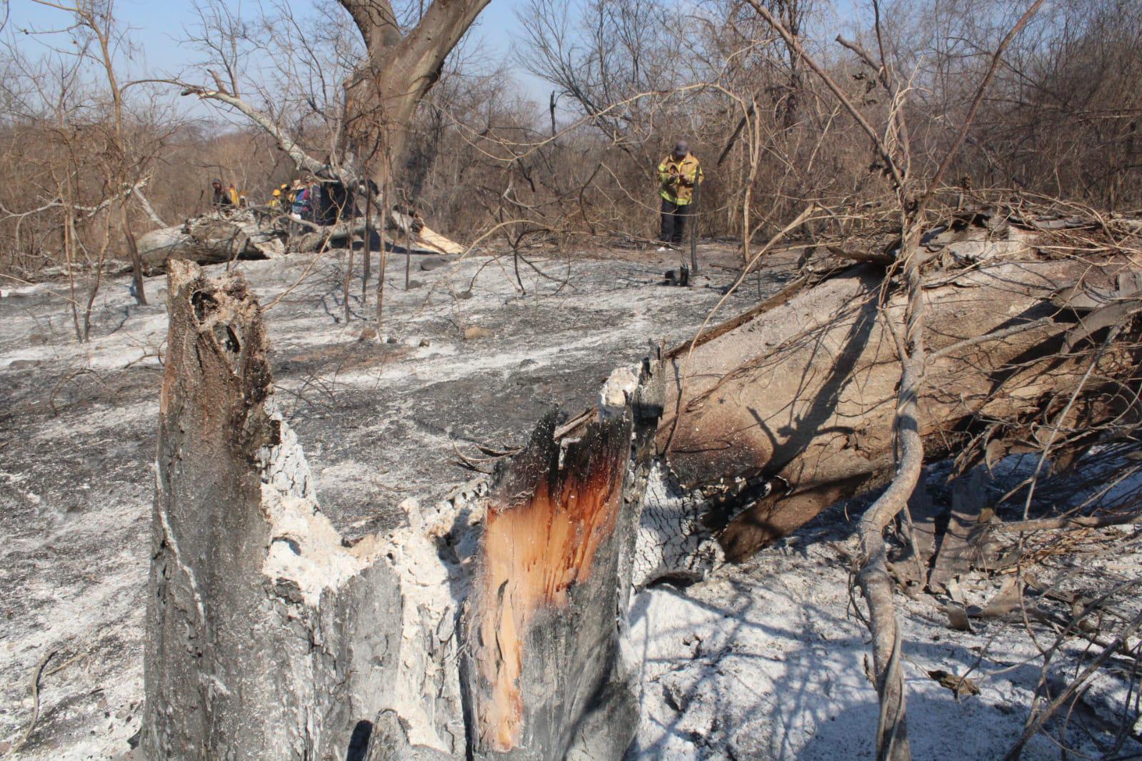 $!Brigadas de Protección Civil y voluntarios acuden al Yauco a combatir incendio forestal