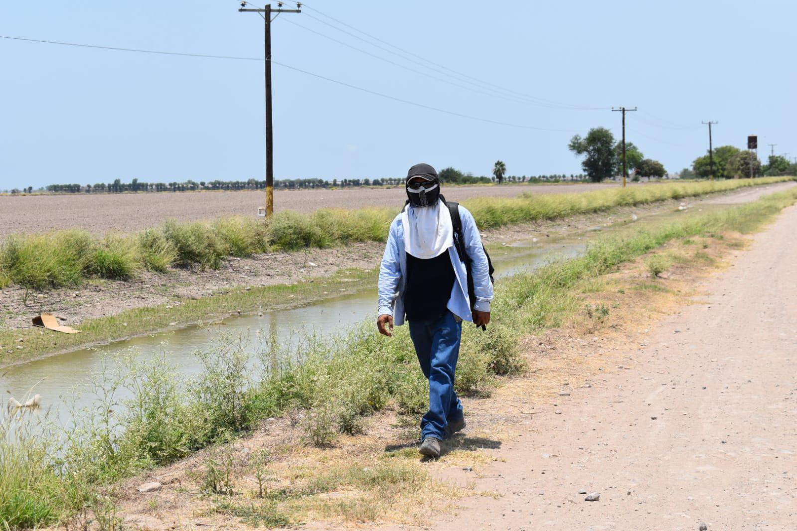 $!Arropados, con agua y ratos a la sombra, luchan trabajadores agrícolas contra el calor