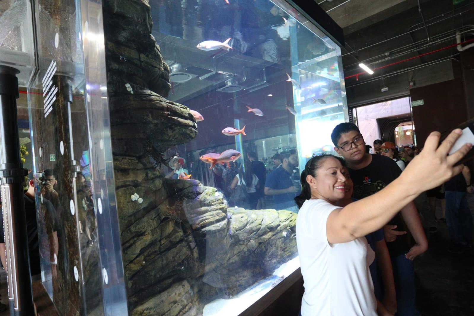 $!El Gran Acuario Mazatlán recibió a sus primeros visitantes este sábado