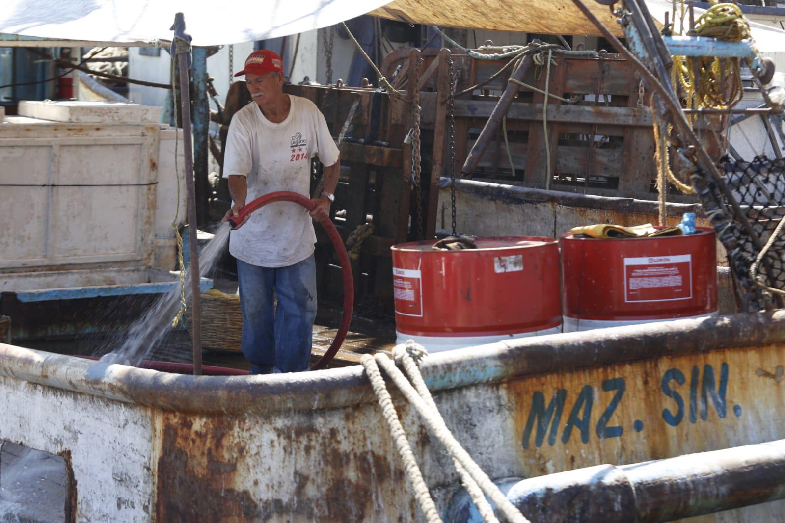 $!Llegan últimos barcos camaroneros a Mazatlán ante cercanía de la veda en altamar; reportan bajas capturas