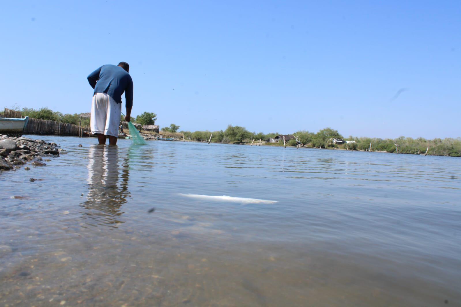 $!Advierten ‘zona de desastre’ por nula producción de camarón en el sur de Sinaloa