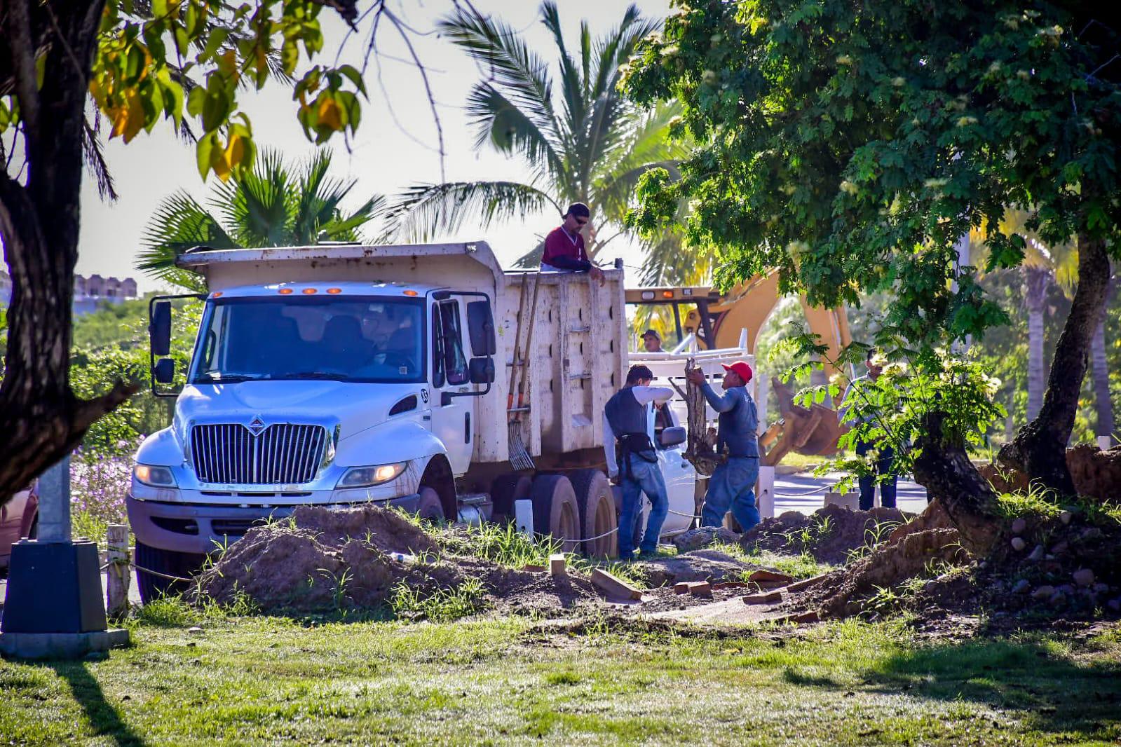 $!Ciclovía de Avenida Cerritos, tendrá nuevo rostro, será rehabilitada