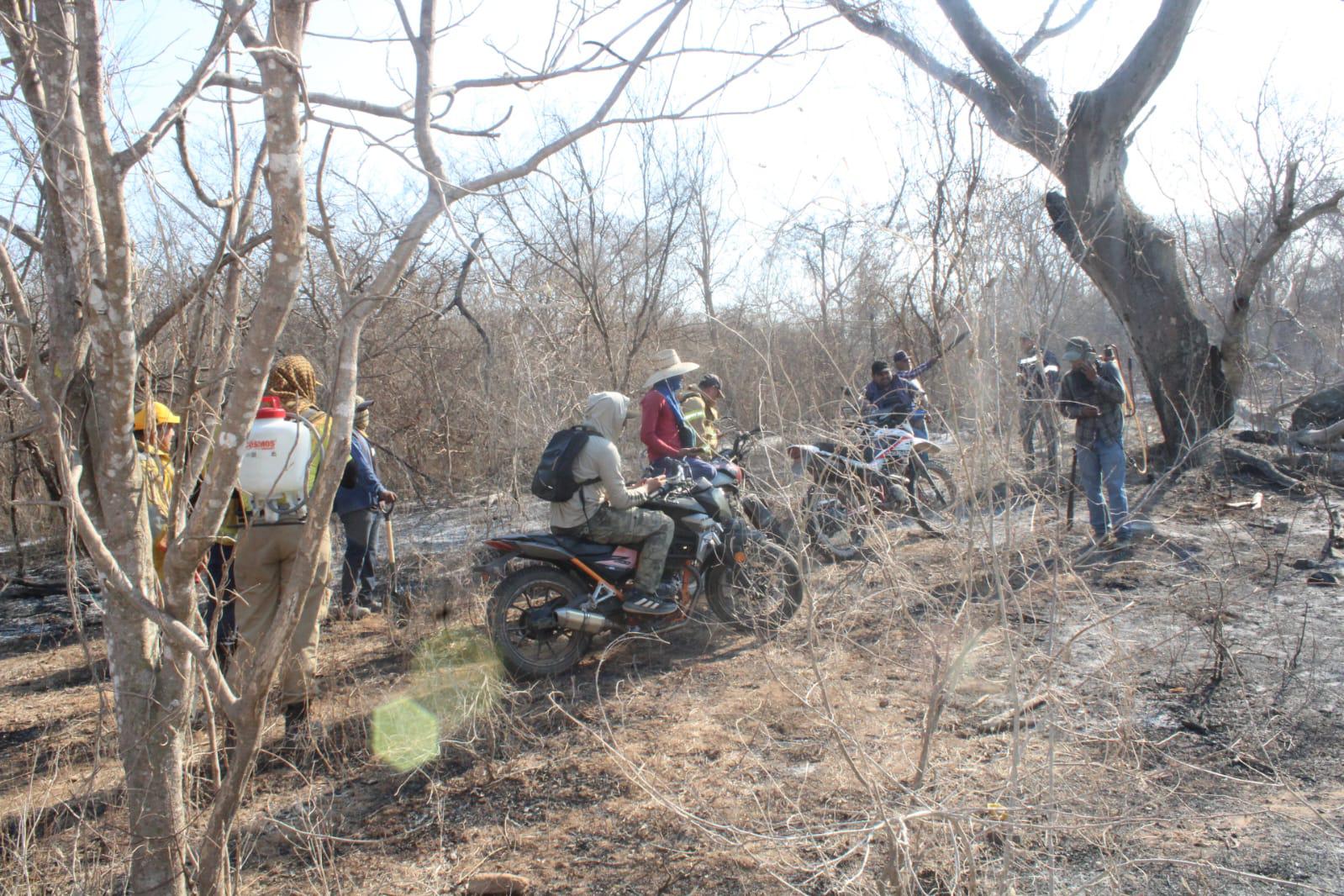 $!Brigadas de Protección Civil y voluntarios acuden al Yauco a combatir incendio forestal