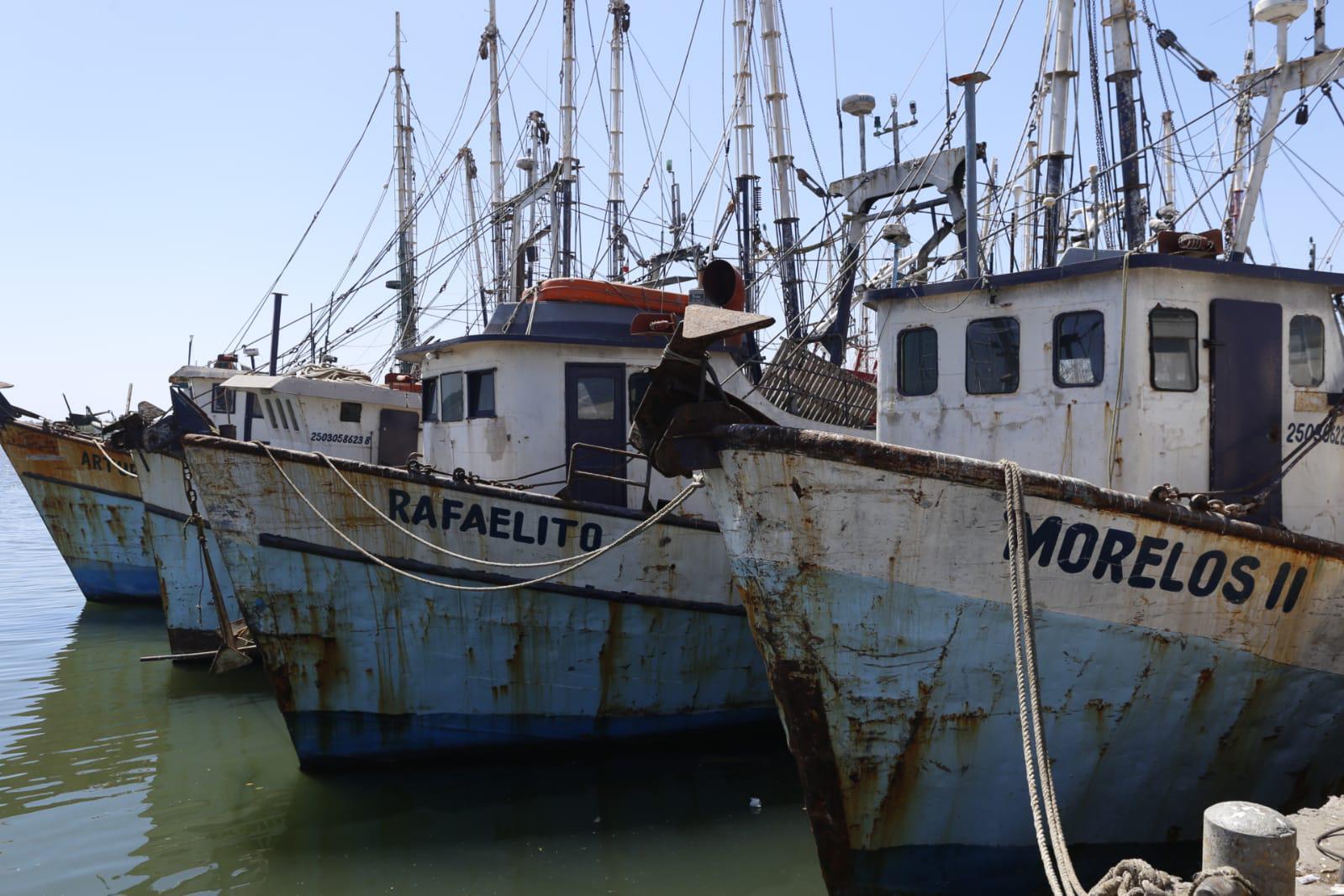 $!Daños a pesca en México provocan pérdidas de hasta mil millones de pesos al año: Comisión de Pesca