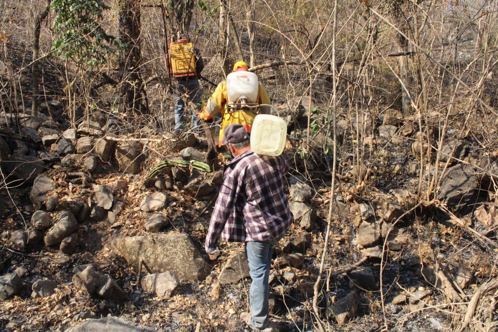 $!Brigadas de Protección Civil y voluntarios acuden al Yauco a combatir incendio forestal