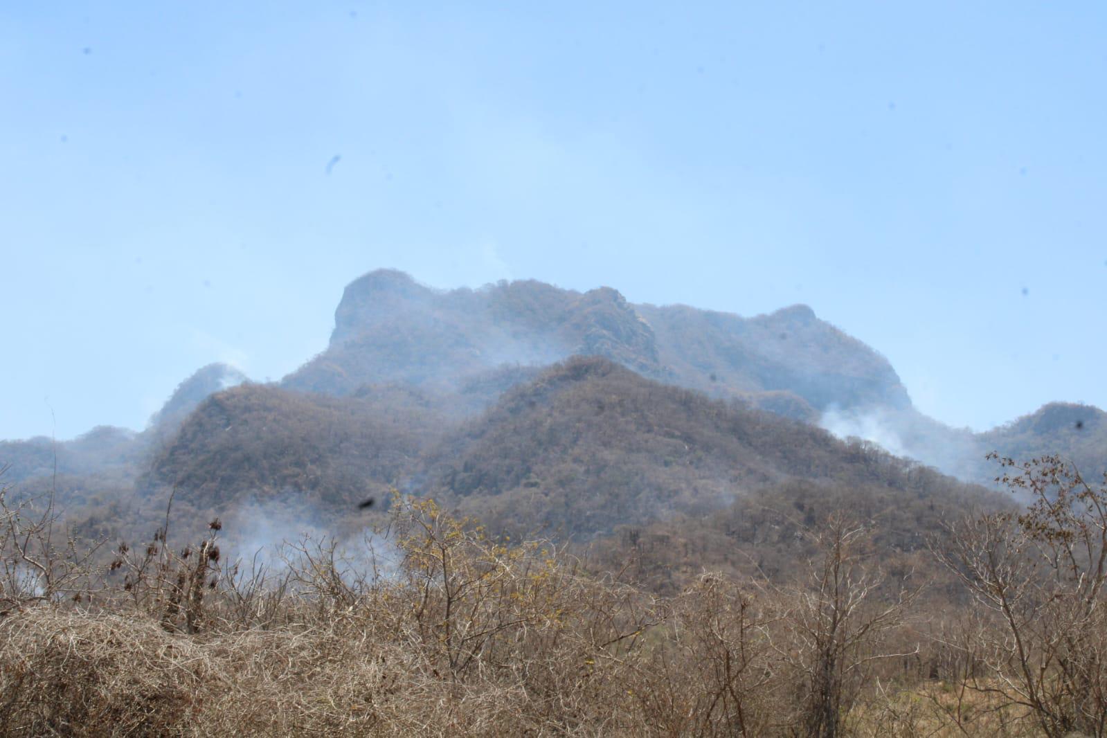 $!Brigadas de Protección Civil y voluntarios acuden al Yauco a combatir incendio forestal