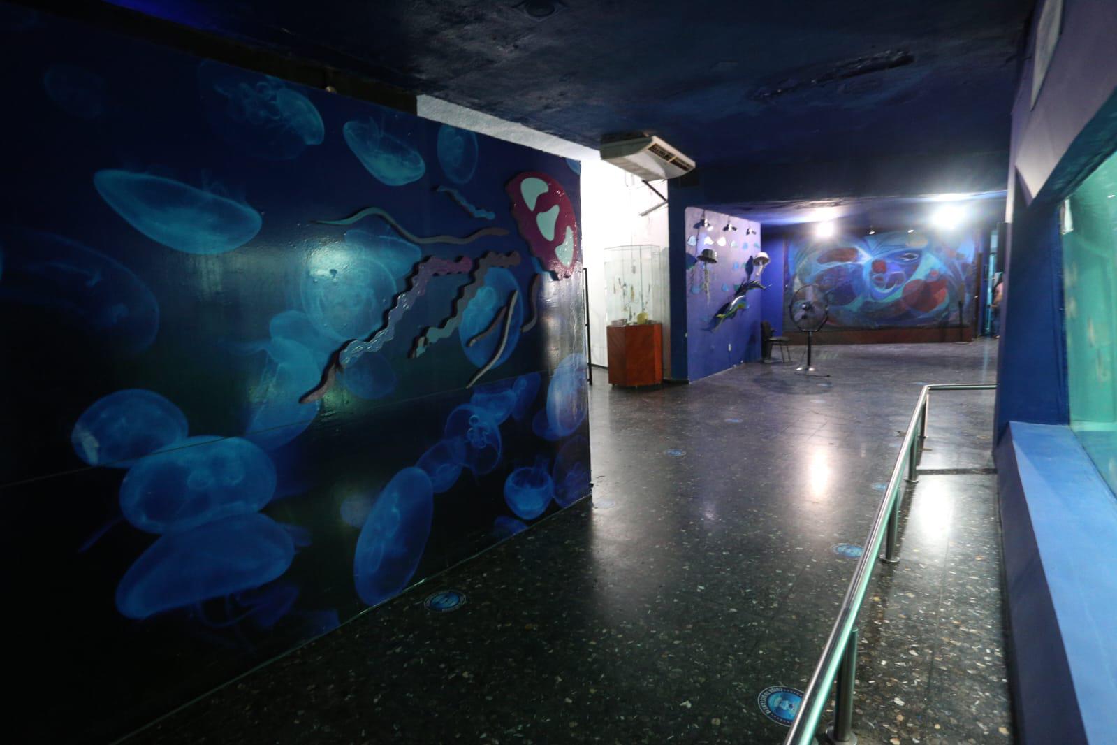 $!Se encuentra desolado Acuario Mazatlán tras el cierre de sus puertas al público