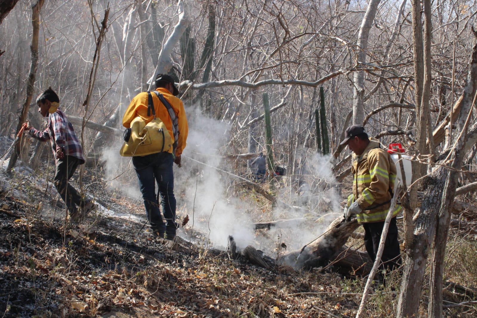 $!Brigadas de Protección Civil y voluntarios acuden al Yauco a combatir incendio forestal