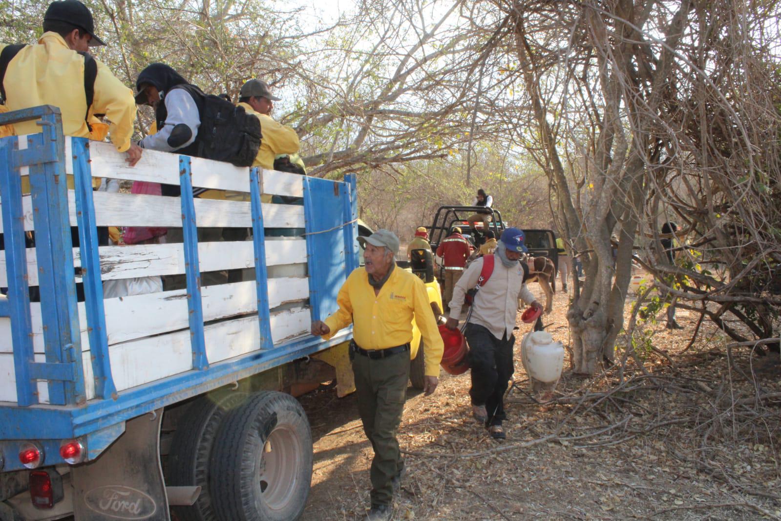 $!Brigadas de Protección Civil y voluntarios acuden al Yauco a combatir incendio forestal