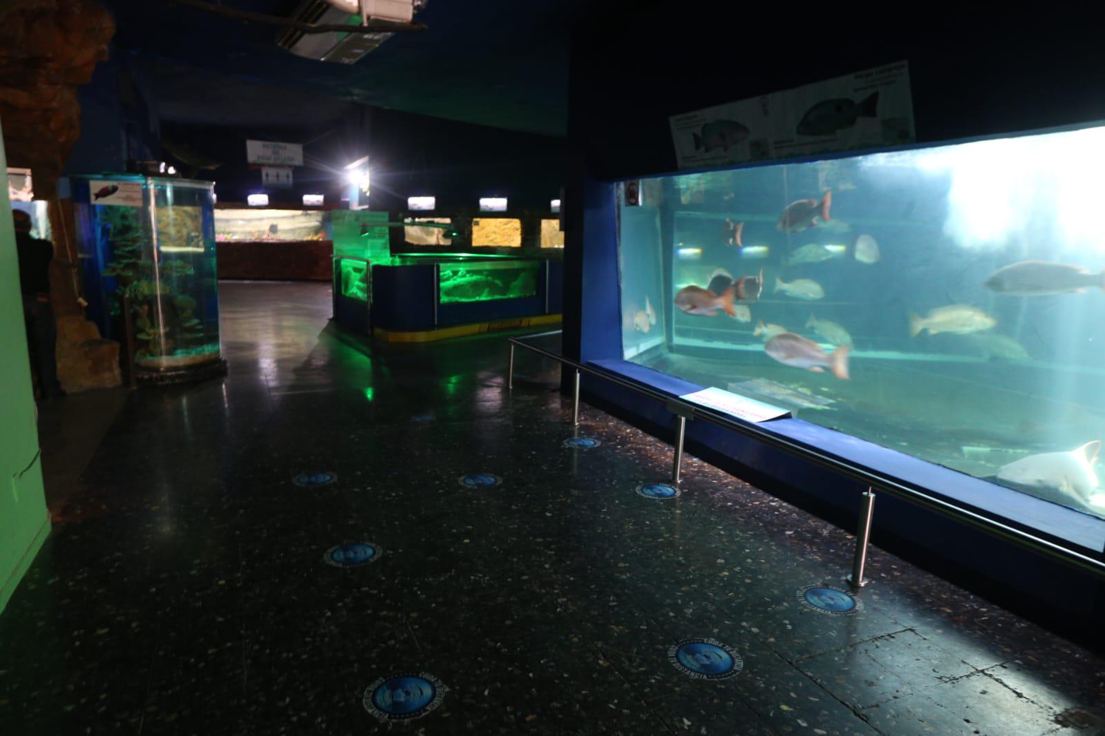 $!Se encuentra desolado Acuario Mazatlán tras el cierre de sus puertas al público
