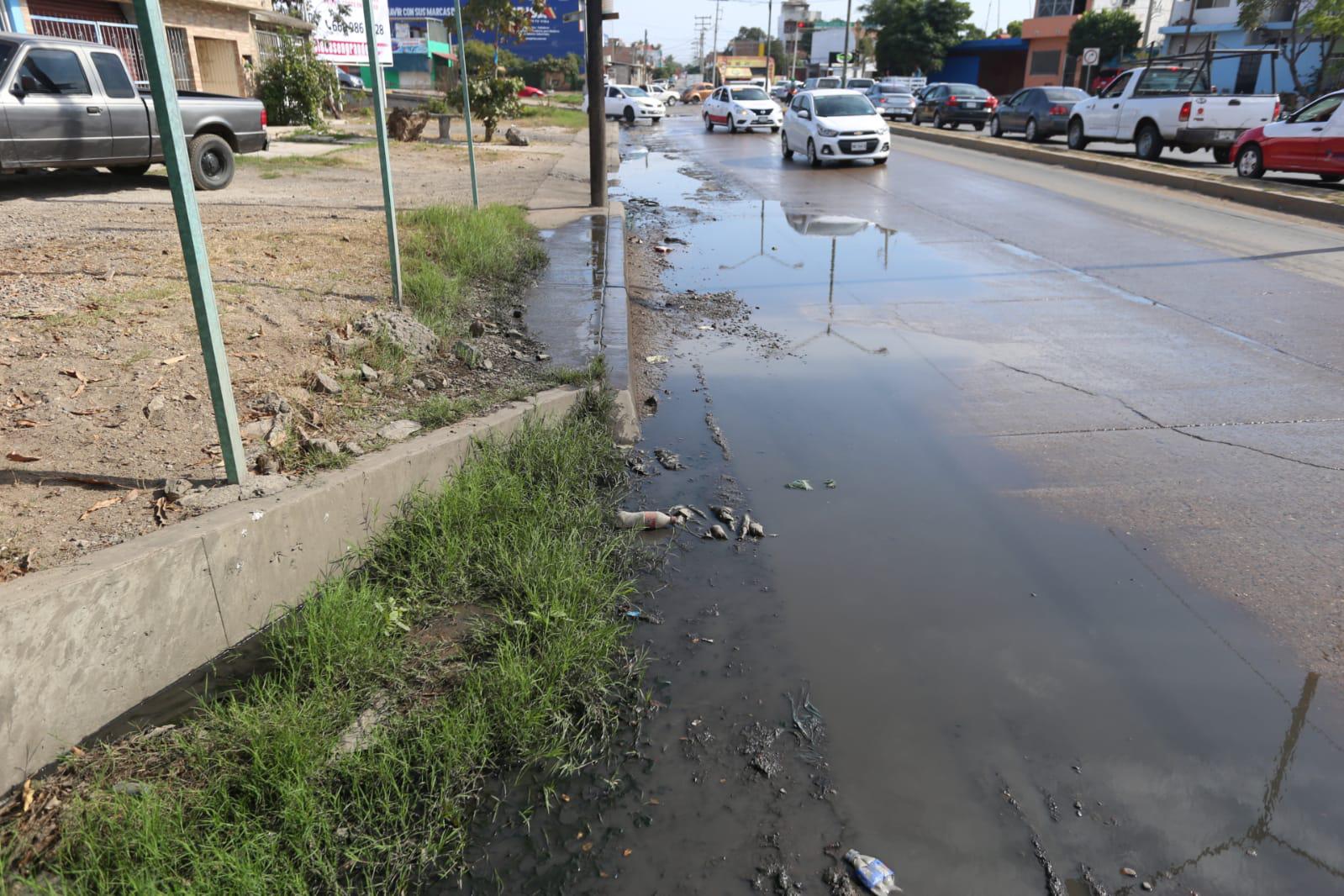 $!La prioridad es eliminar fugas de aguas en menos de 36 horas de ser reportadas: Osbaldo López, titular de Jumapam