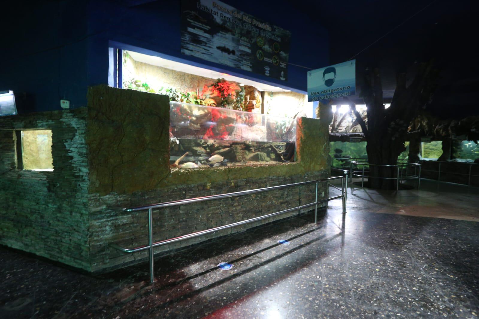 $!Se encuentra desolado Acuario Mazatlán tras el cierre de sus puertas al público