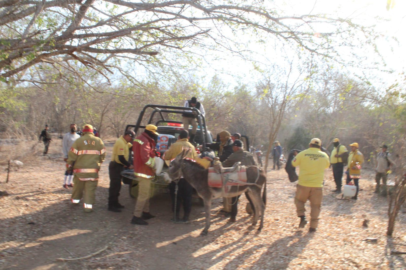 $!Brigadas de Protección Civil y voluntarios acuden al Yauco a combatir incendio forestal