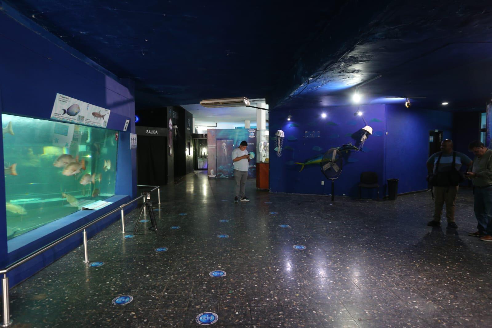 $!Se encuentra desolado Acuario Mazatlán tras el cierre de sus puertas al público