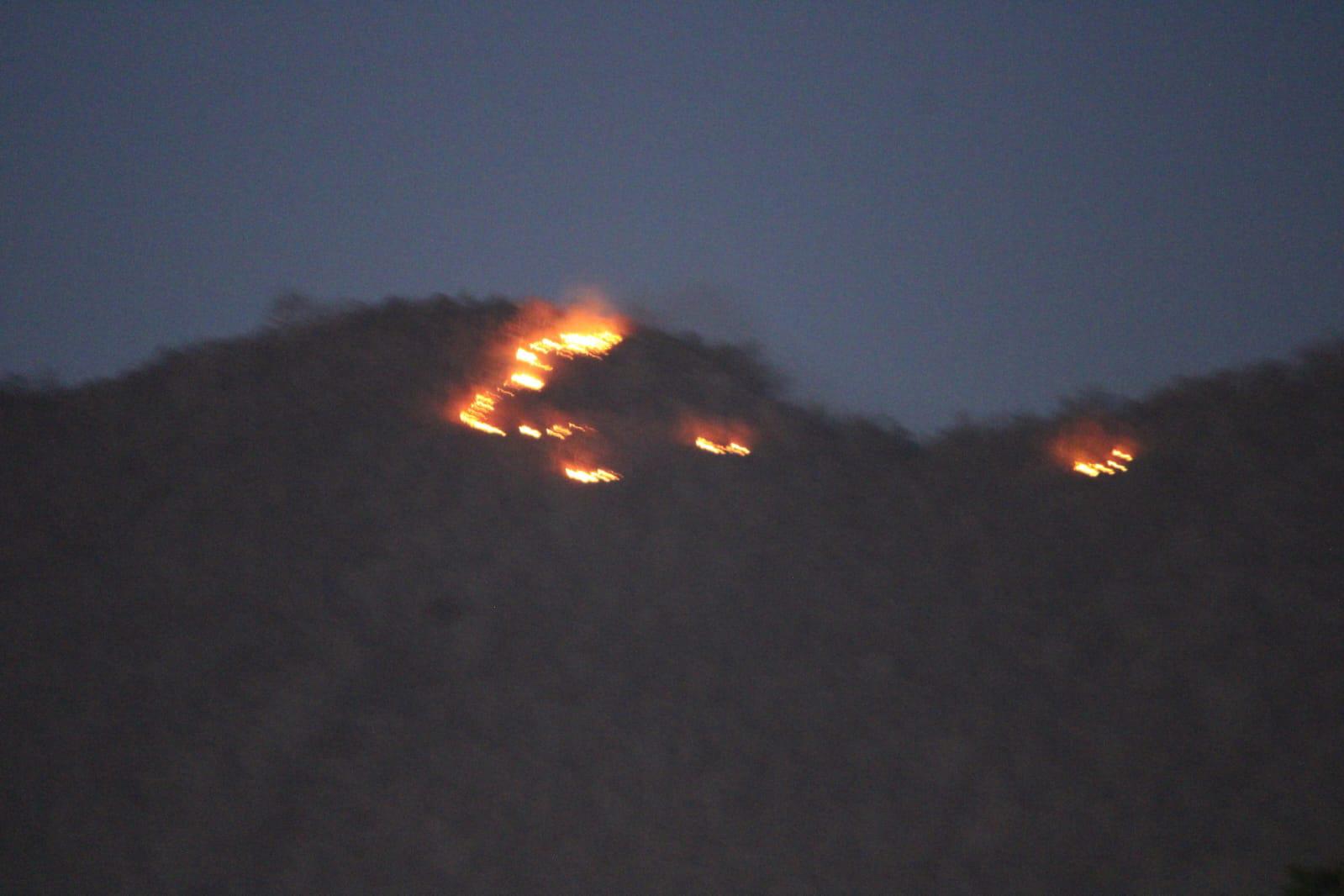 $!Sufre incendio forestal Cerro del Águila en Rosario