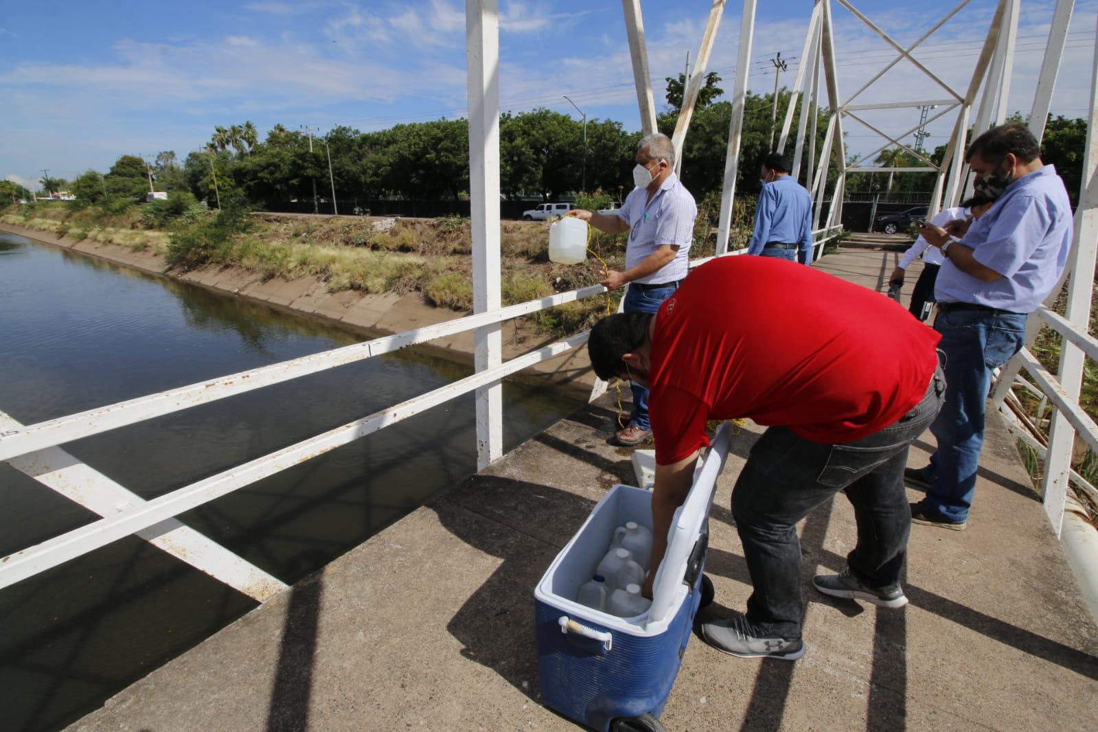 $!Conagua inicia análisis de agua por mortandad de peces en canal Recursos Hidráulicos, de Culiacán
