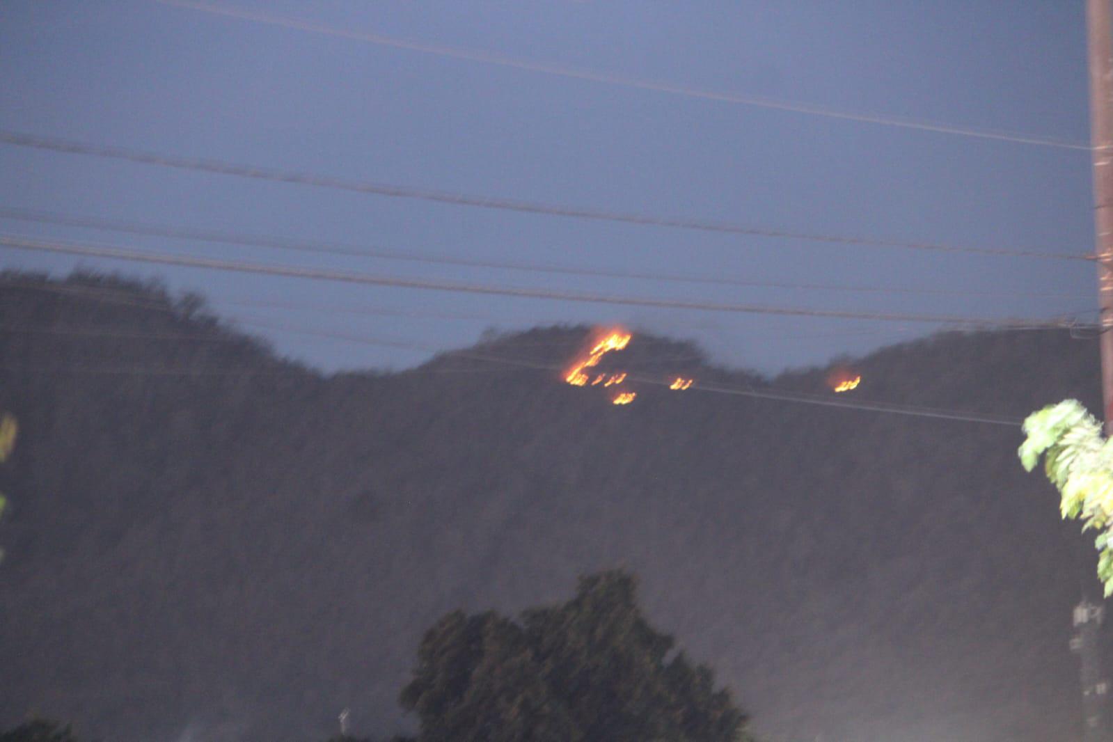 $!Sufre incendio forestal Cerro del Águila en Rosario