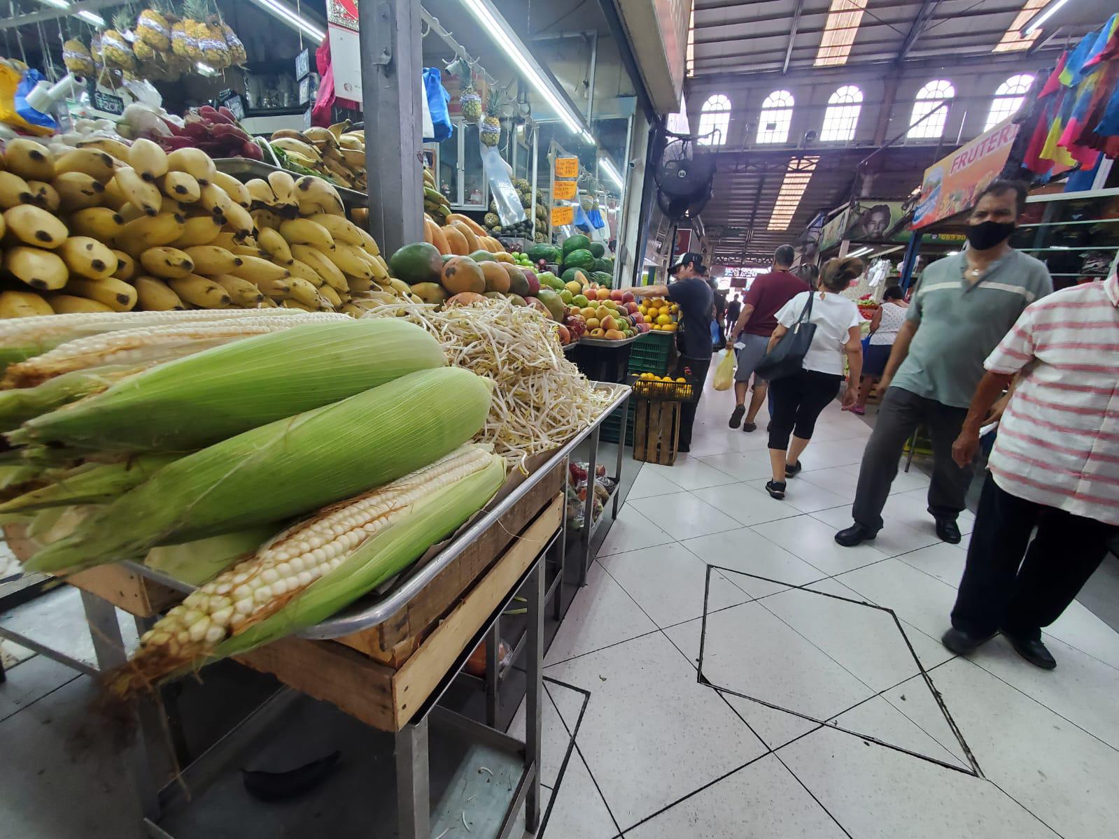 $!En Mazatlán el aguacate y el diezmillo están carísimos