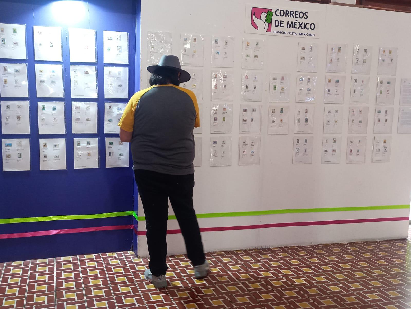 $!La muestra estará abierta hasta el miércoles 13 y re abre el 25.