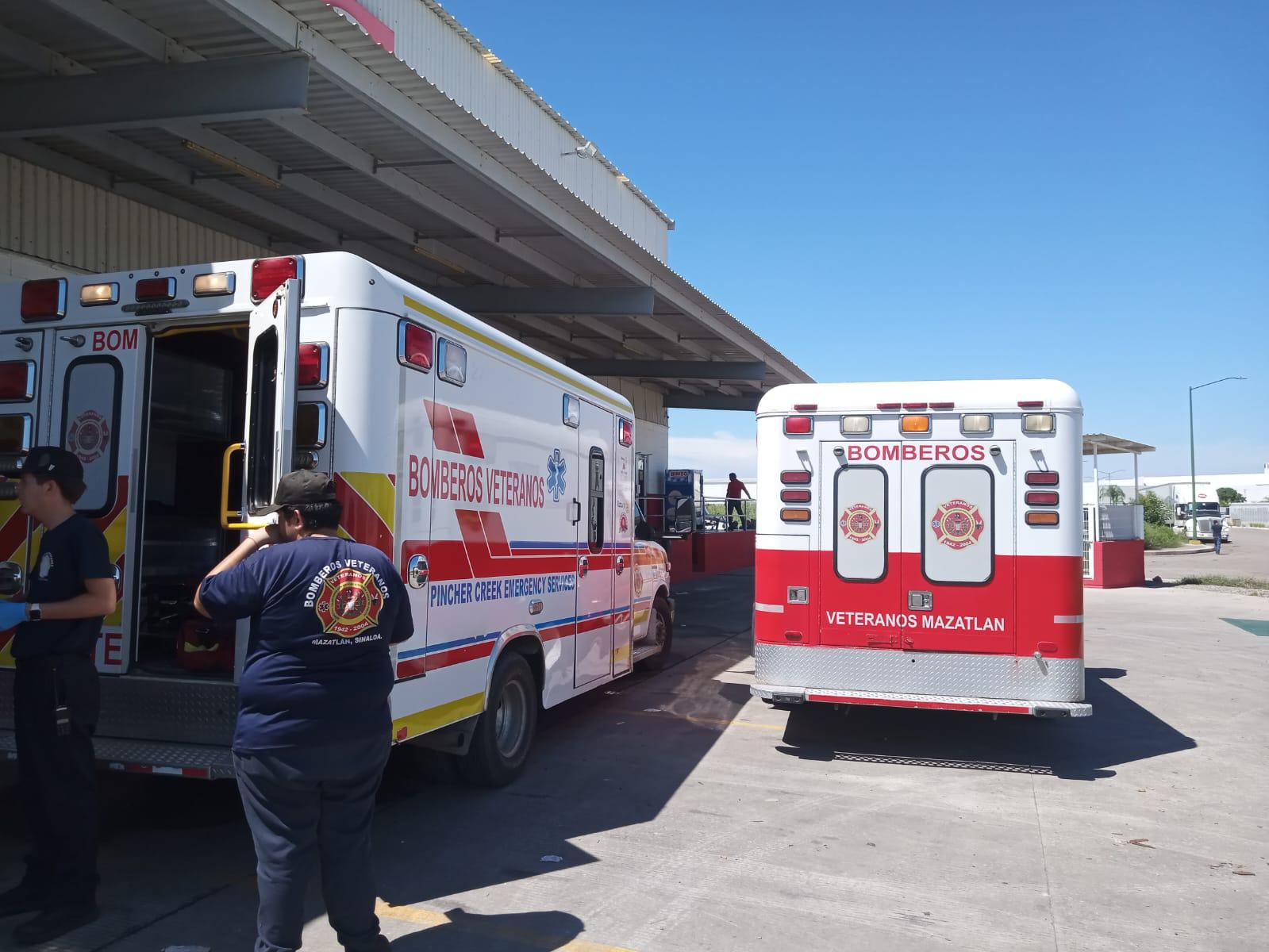 $!Ataque de abejas en Parque Industrial Mazatlán deja 17 heridos, tres hospitalizados