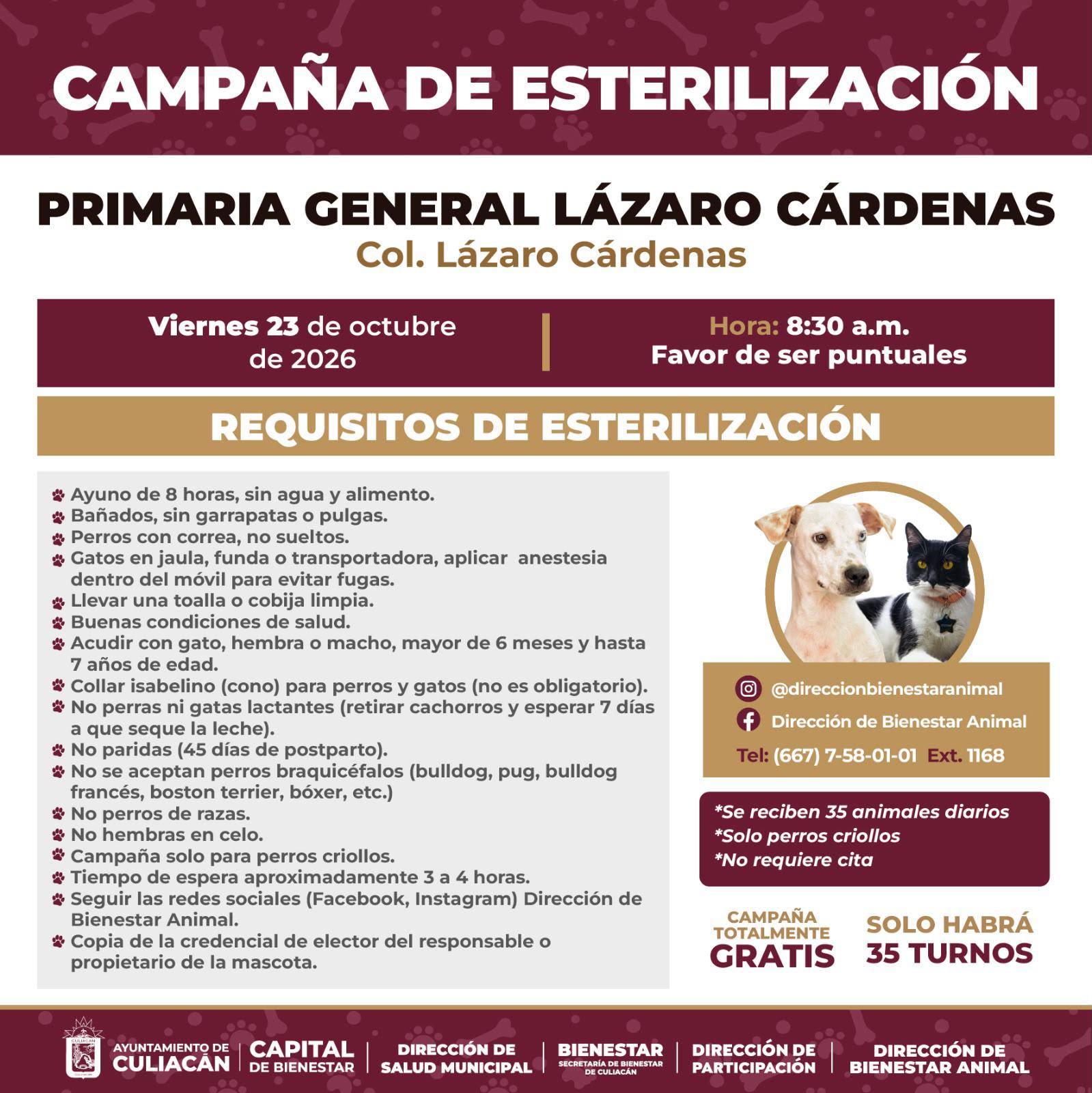 $!Ofrecen esterilización gratuita para perros mestizos y gatos en Culiacán