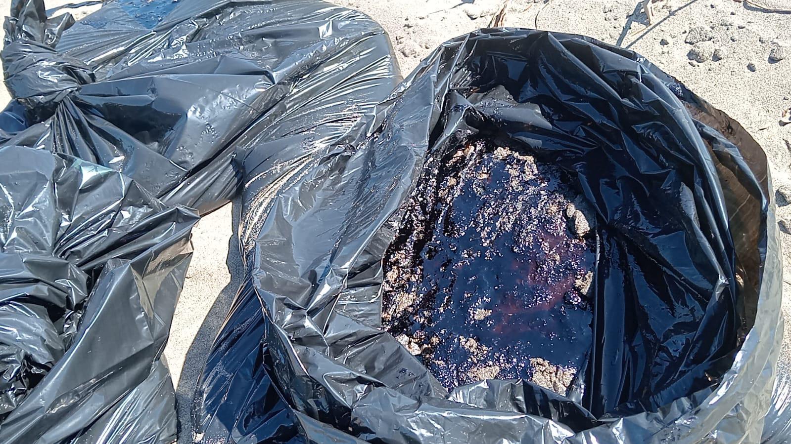 $!Entre pescadores se organizaron para recoger el chapopote.