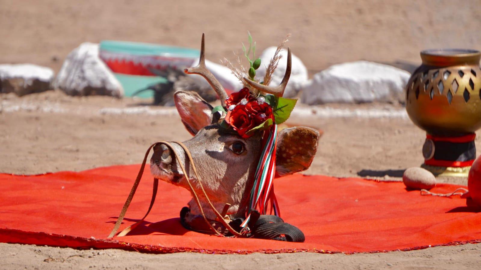 $!Conectan sinaloenses con la naturaleza, la cultura y la historia: Sectur