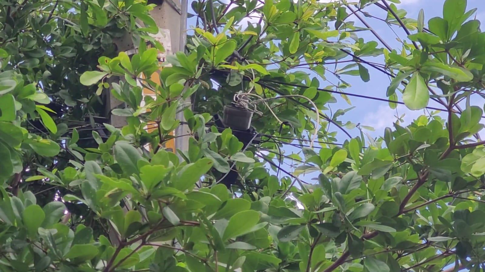 $!Hace 13 años que padecen fallas eléctricas en Villa Fontana, en Culiacán, por un transformador insuficiente