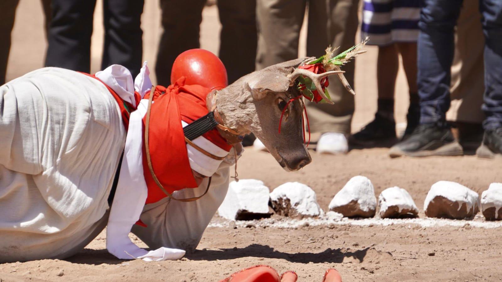 $!Conectan sinaloenses con la naturaleza, la cultura y la historia: Sectur
