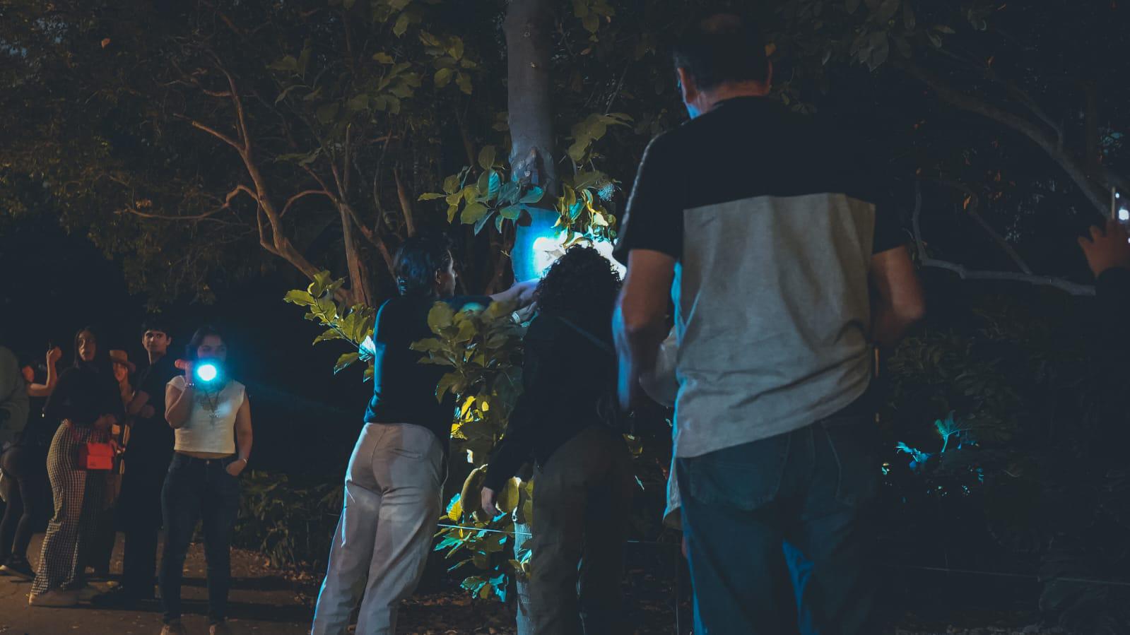 $!Habrá recorridos nocturnos en el Jardín Botánico de Culiacán durante mayo