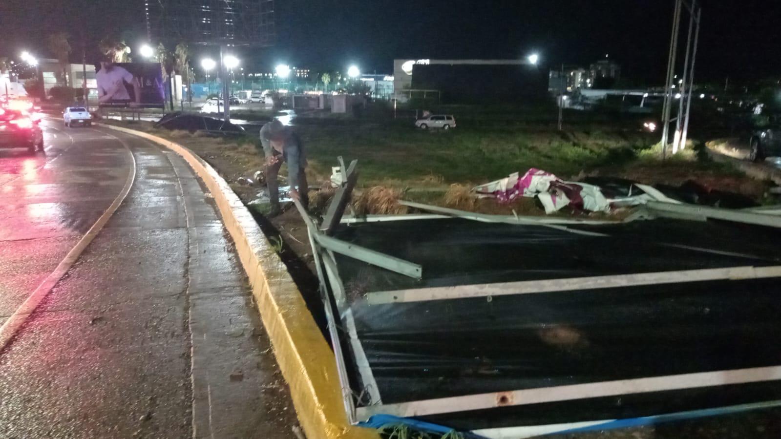 $!Caída de árboles y espectaculares dejan daños tras lluvias en Culiacán