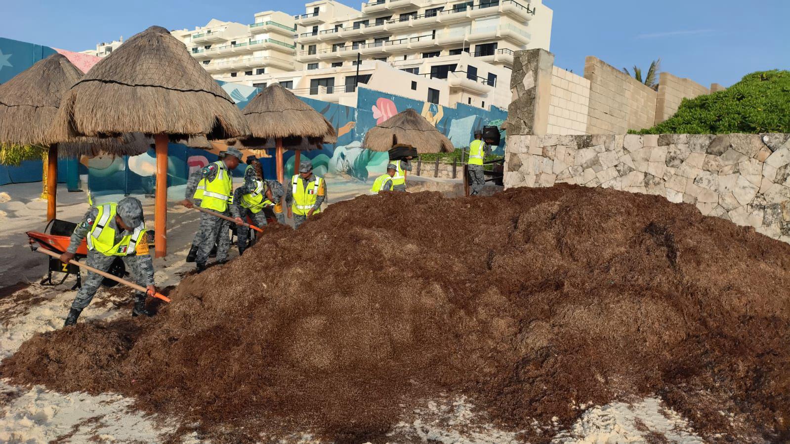 $!Luchan contra el sargazo en playas de Cancún