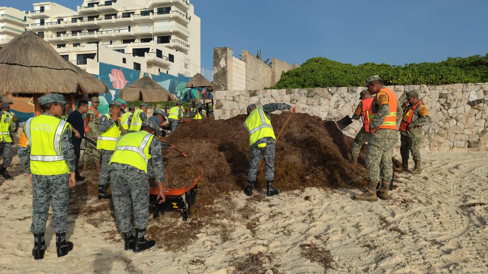 $!Luchan contra el sargazo en playas de Cancún