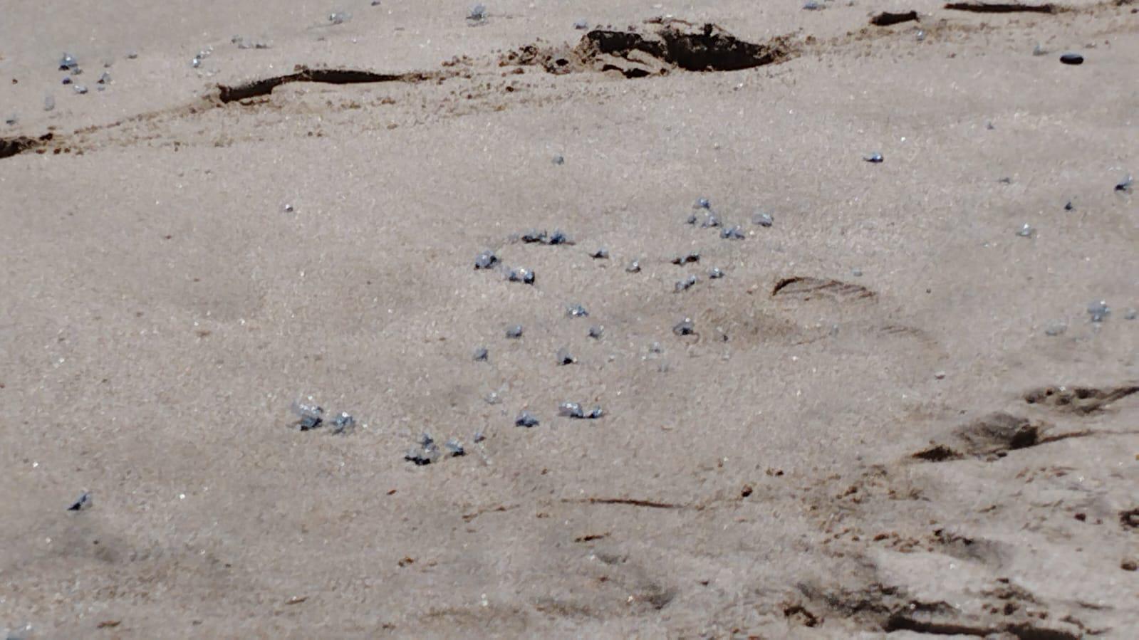 $!Alertan a bañistas por quemadores y fuerte oleaje en playas de Mazatlán