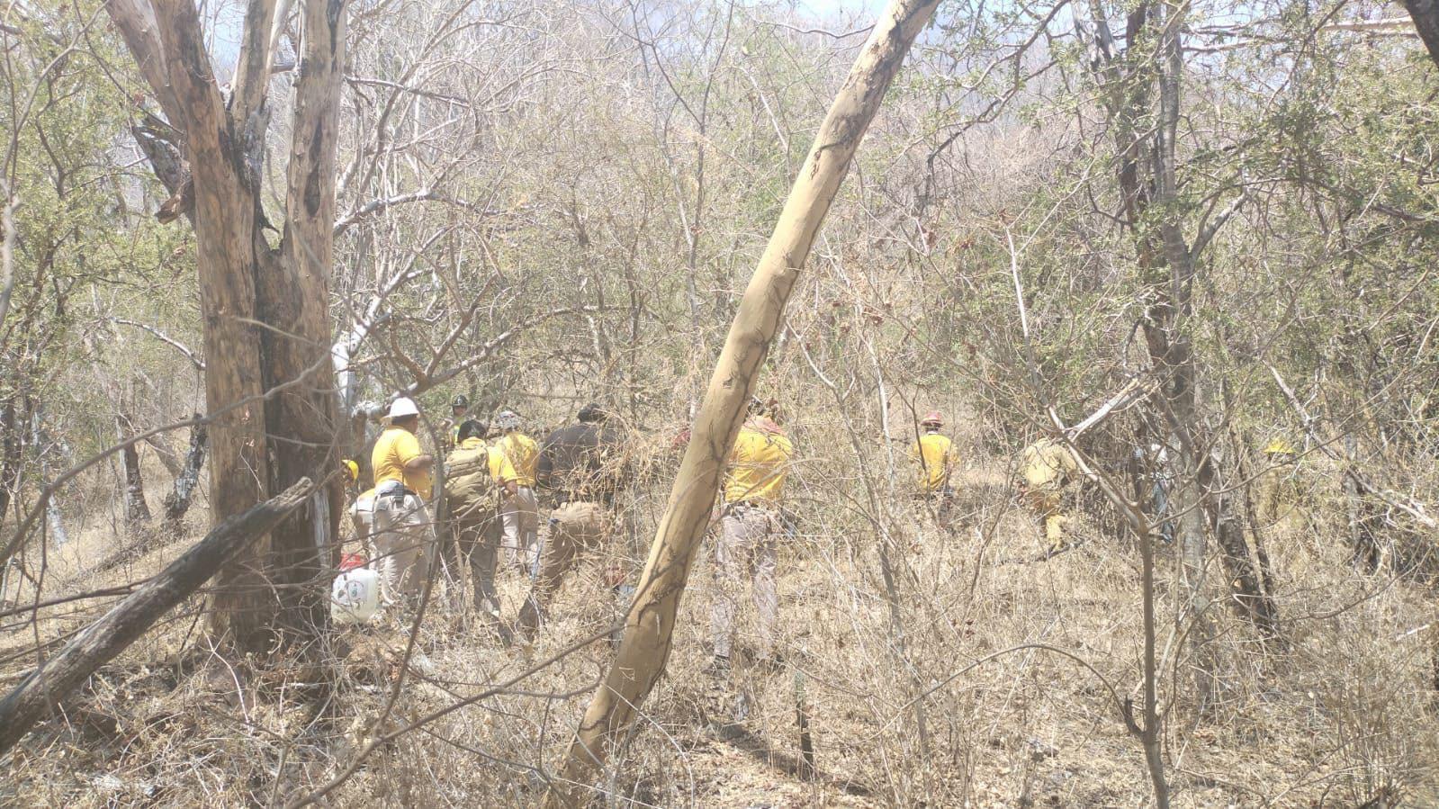 $!Afecta incendio forestal la sierra de La Noria; trabajan en combatir el fuego