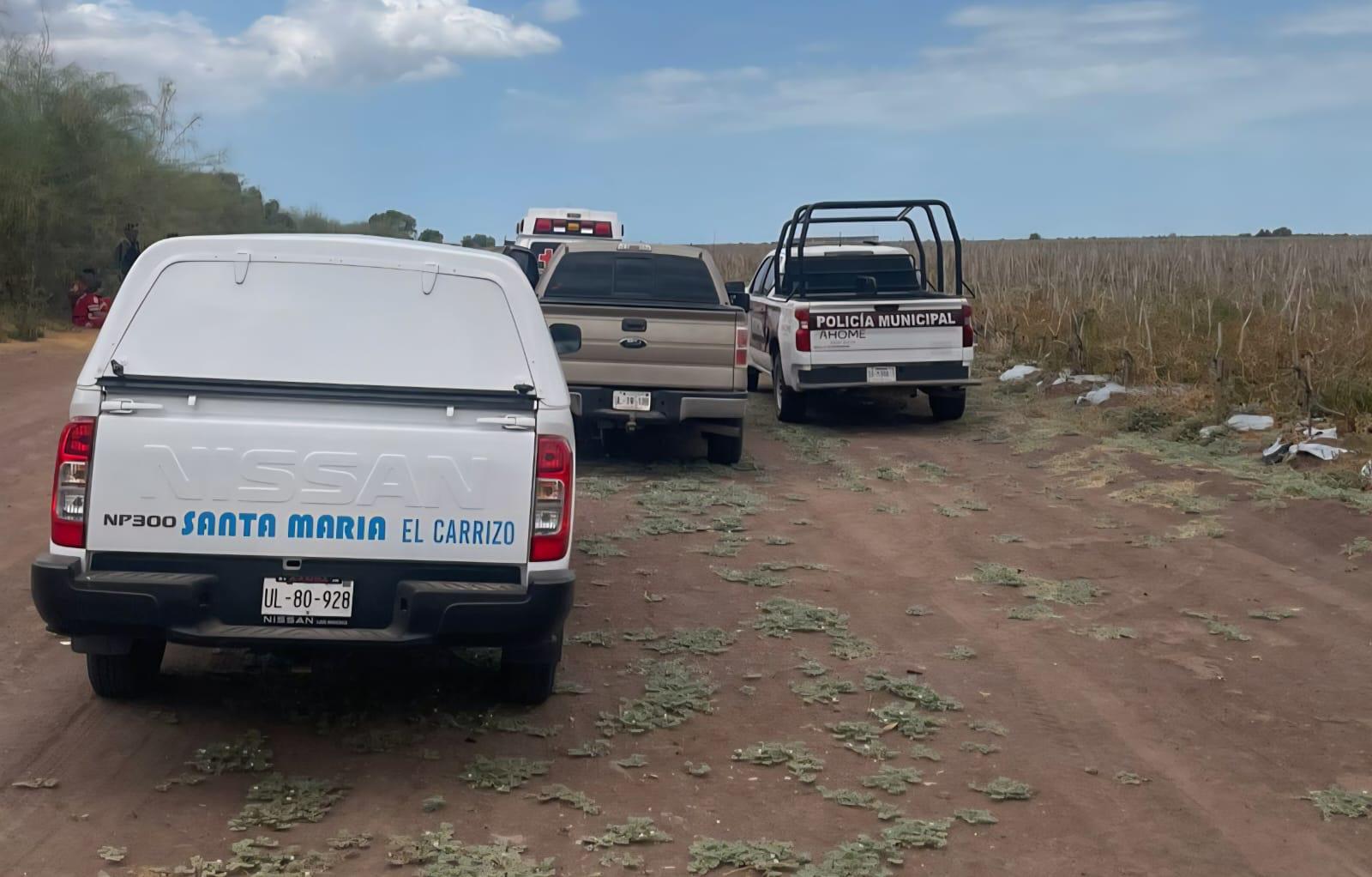 $!Muere jornalero mientras trabajaba bajo el sol en campos agrícolas del Valle de El Carrizo