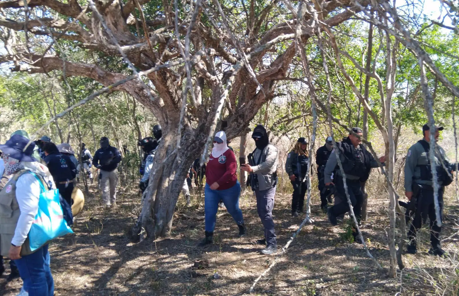 $!Colectivos y la Comisión Nacional de Búsqueda realizan jornada de prospección en El Verde, Concordia