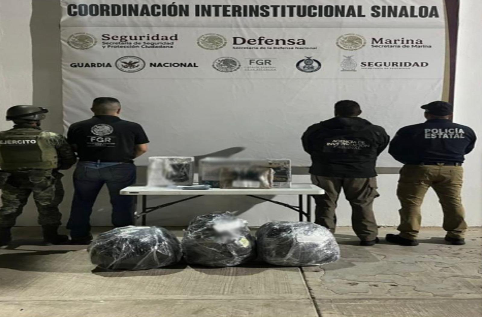 $!Aseguran casi $42 millones en droga en Sinaloa... y hasta un león africano en Escuinapa