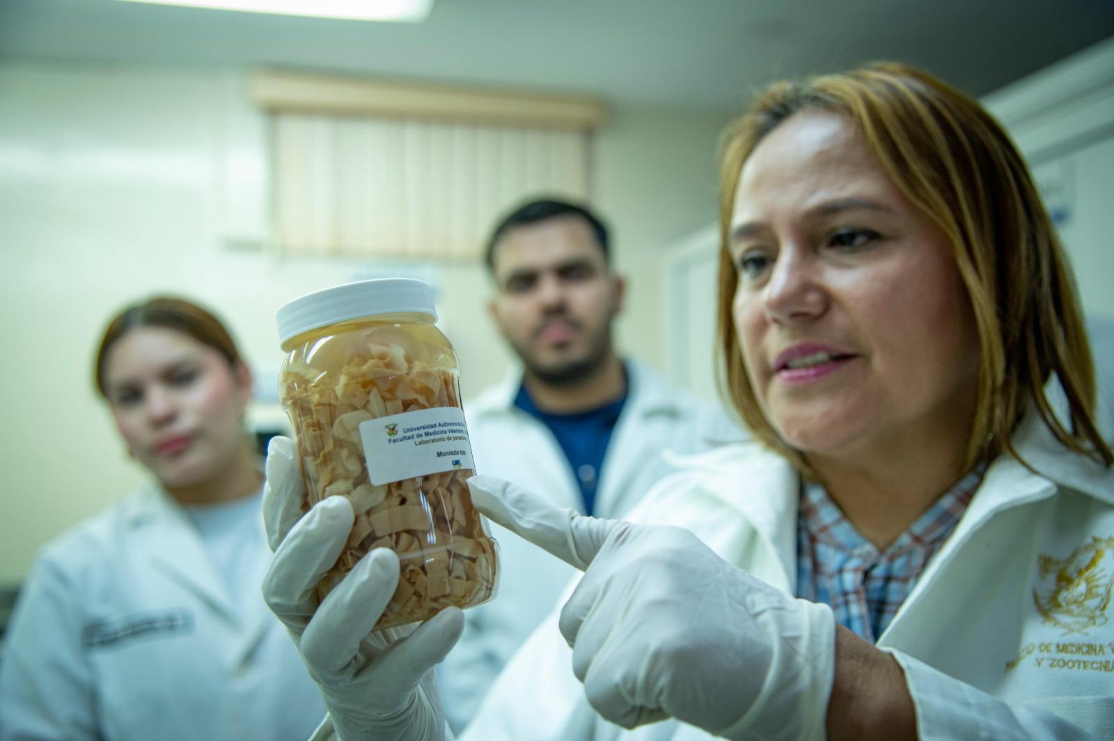 $!La Veterinaria y Zootecnia de la UAS, más de cuatro décadas de excelencia y liderazgo