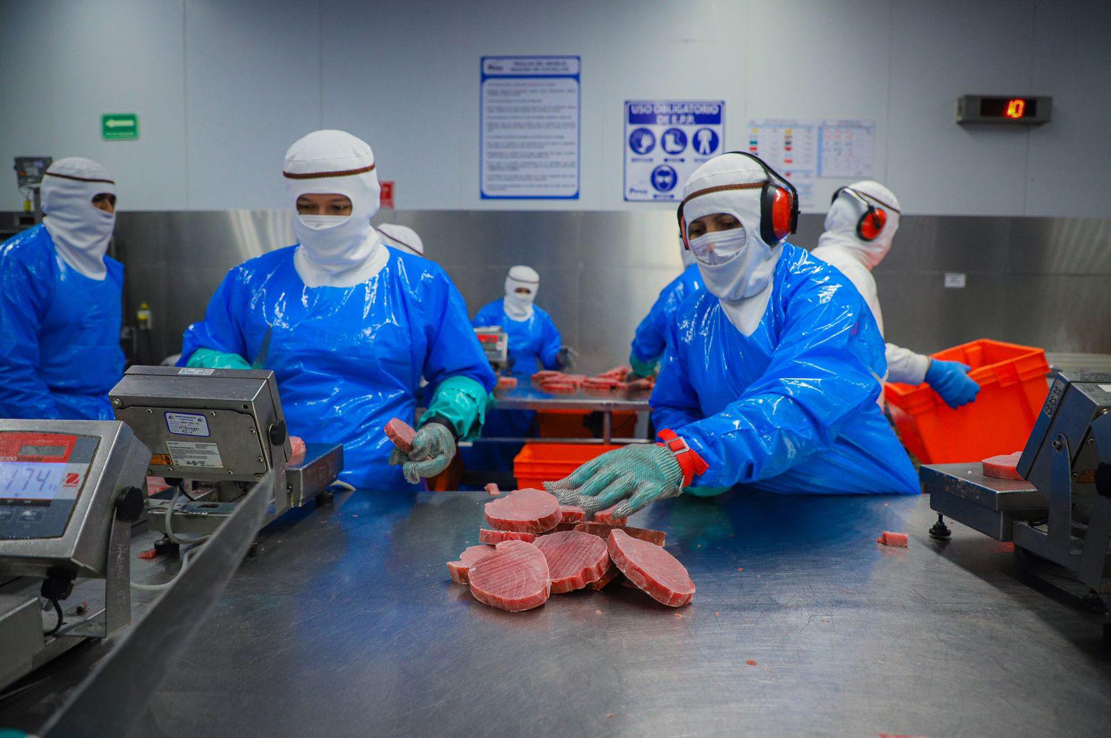 $!Economía de Sinaloa creció 4.3% en 2022, informó Javier Gaxiola