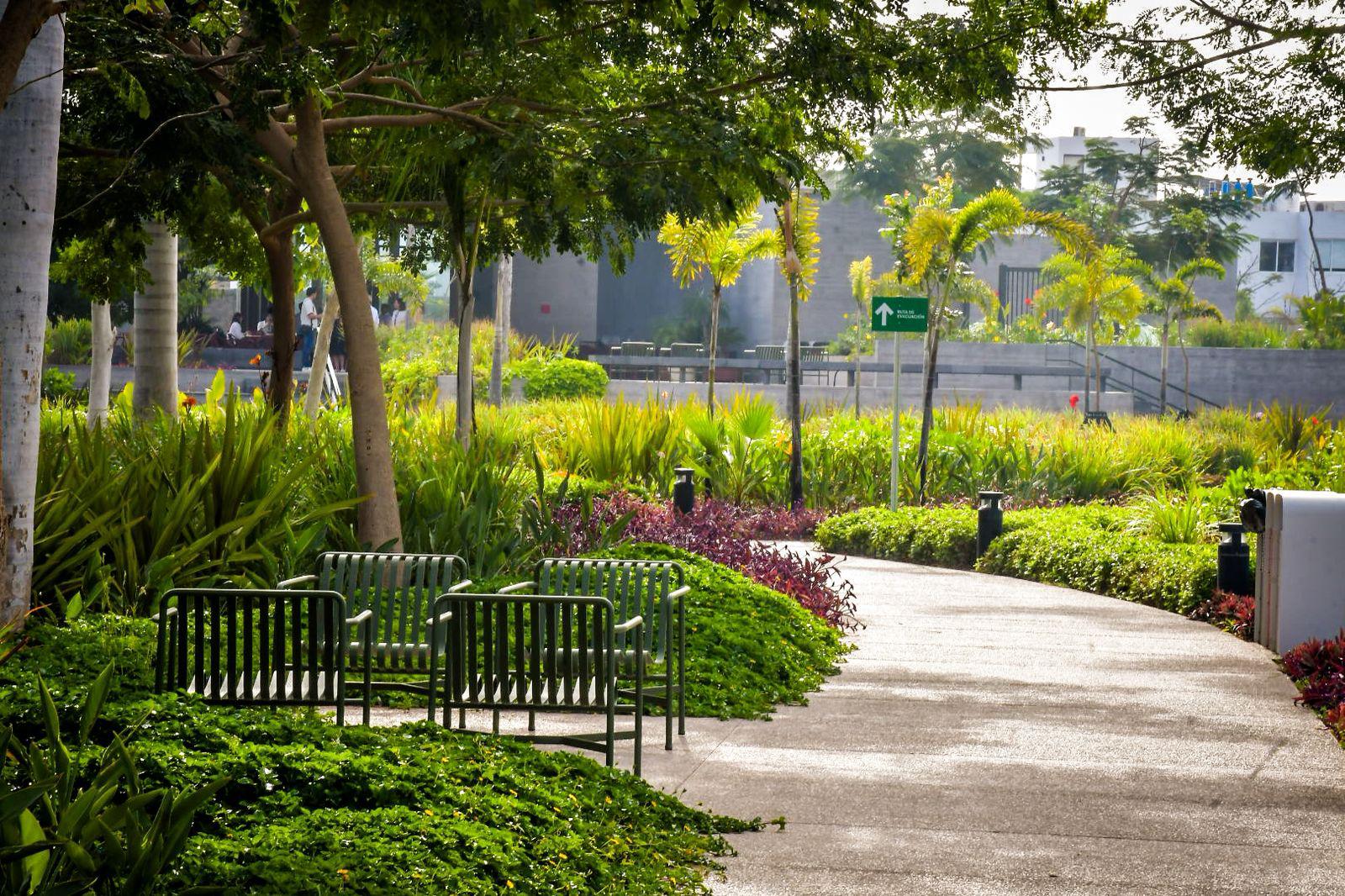 $!Coppel inaugura en Culiacán un club deportivo para sus más de 17 mil colaboradores