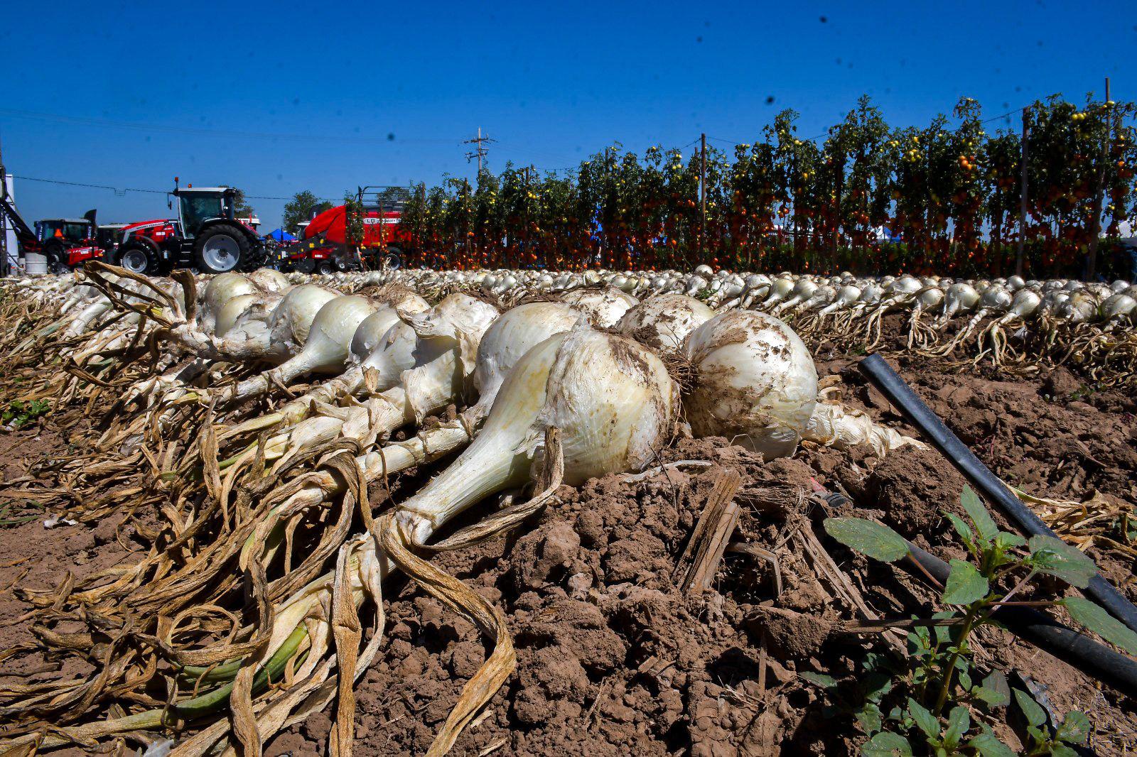 $!Arranca la Expo Agro Sinaloa 2026 en Culiacán; reúne a productores, empresas y autoridades