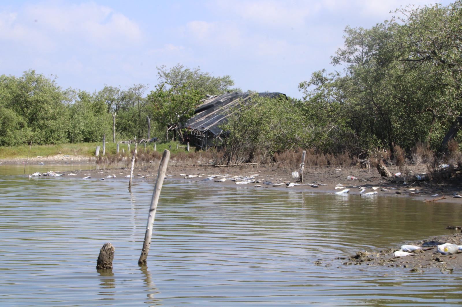 $!Sector pesquero del sur de Sinaloa tiene respaldo que hace muchos años se había buscado: Graciela Domínguez