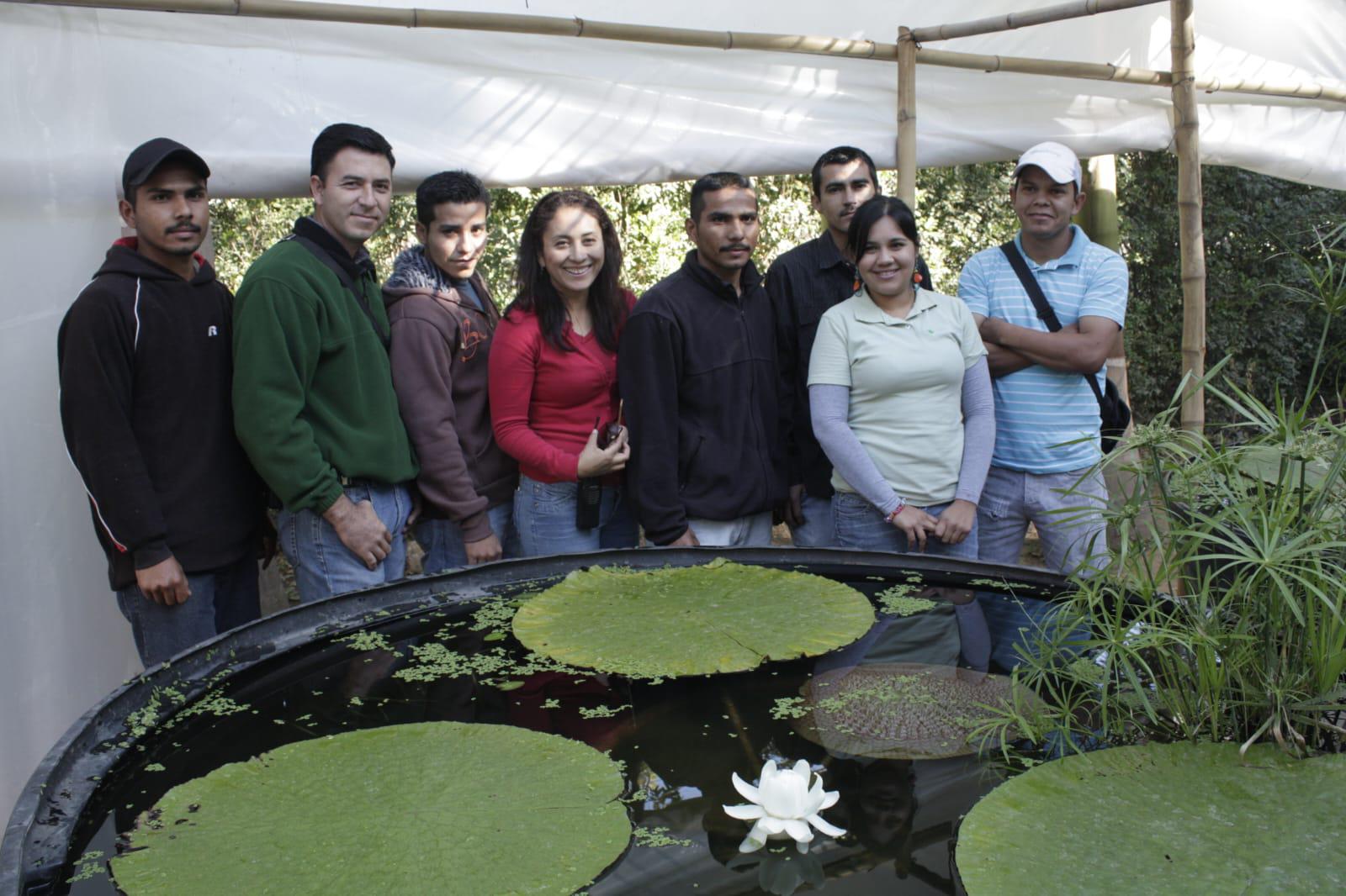 $!Exhíbe Jardín Botánico la planta acuática más grande del mundo
