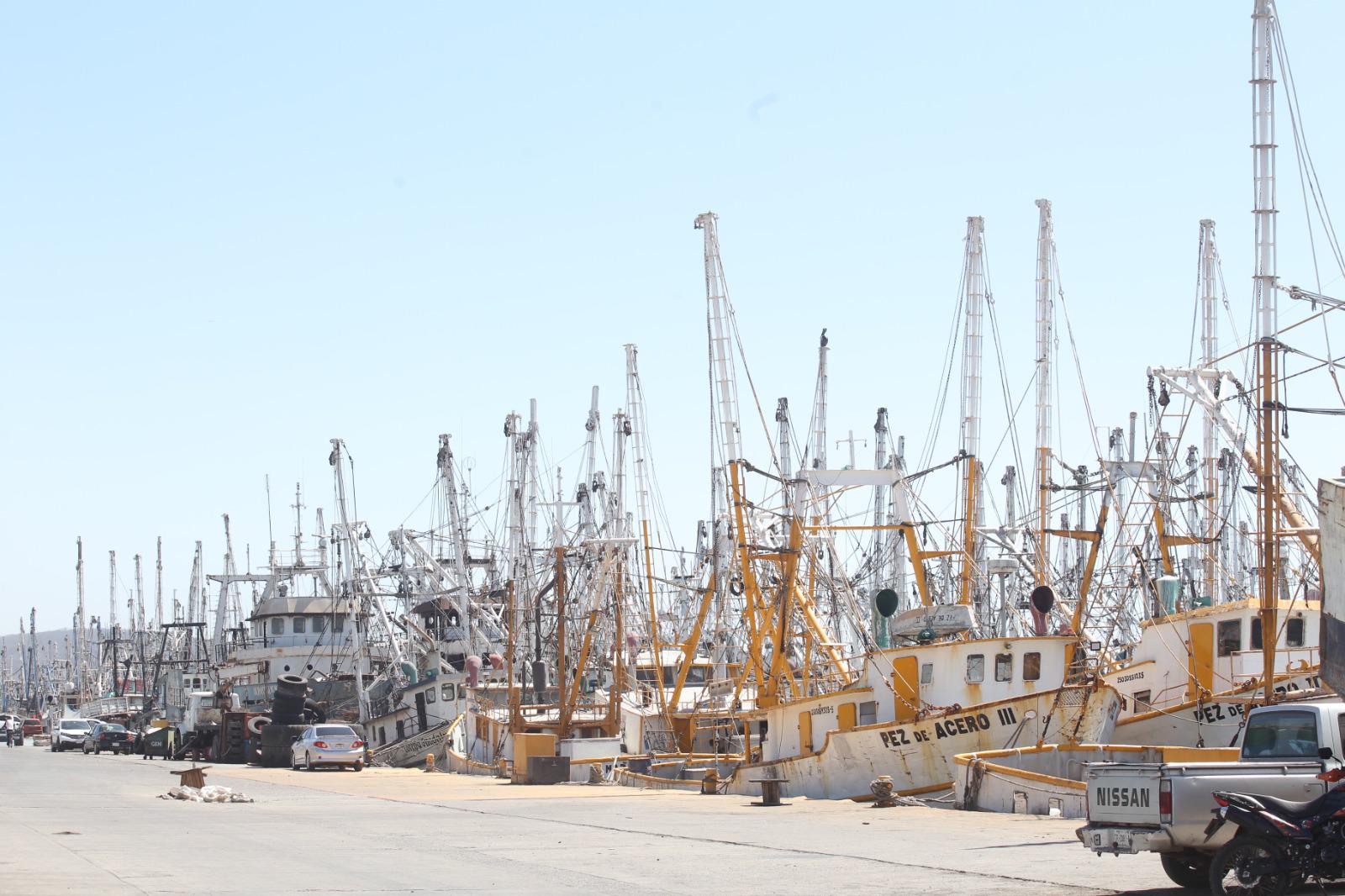$!Industria camaronera de Mazatlán flota en un mar de crisis