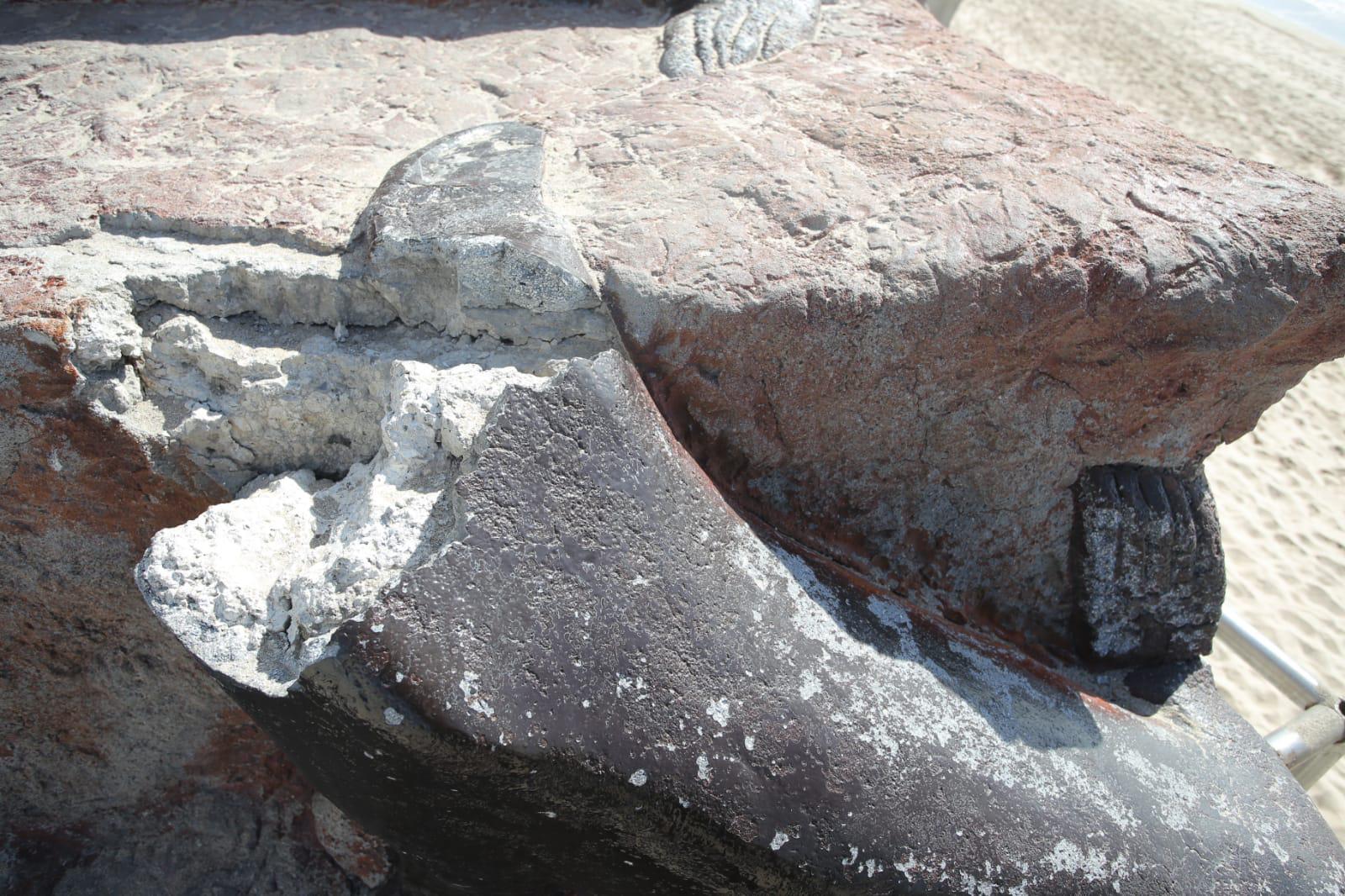 $!Colapsa en el malecón de Mazatlán monumento a los lobos marinos