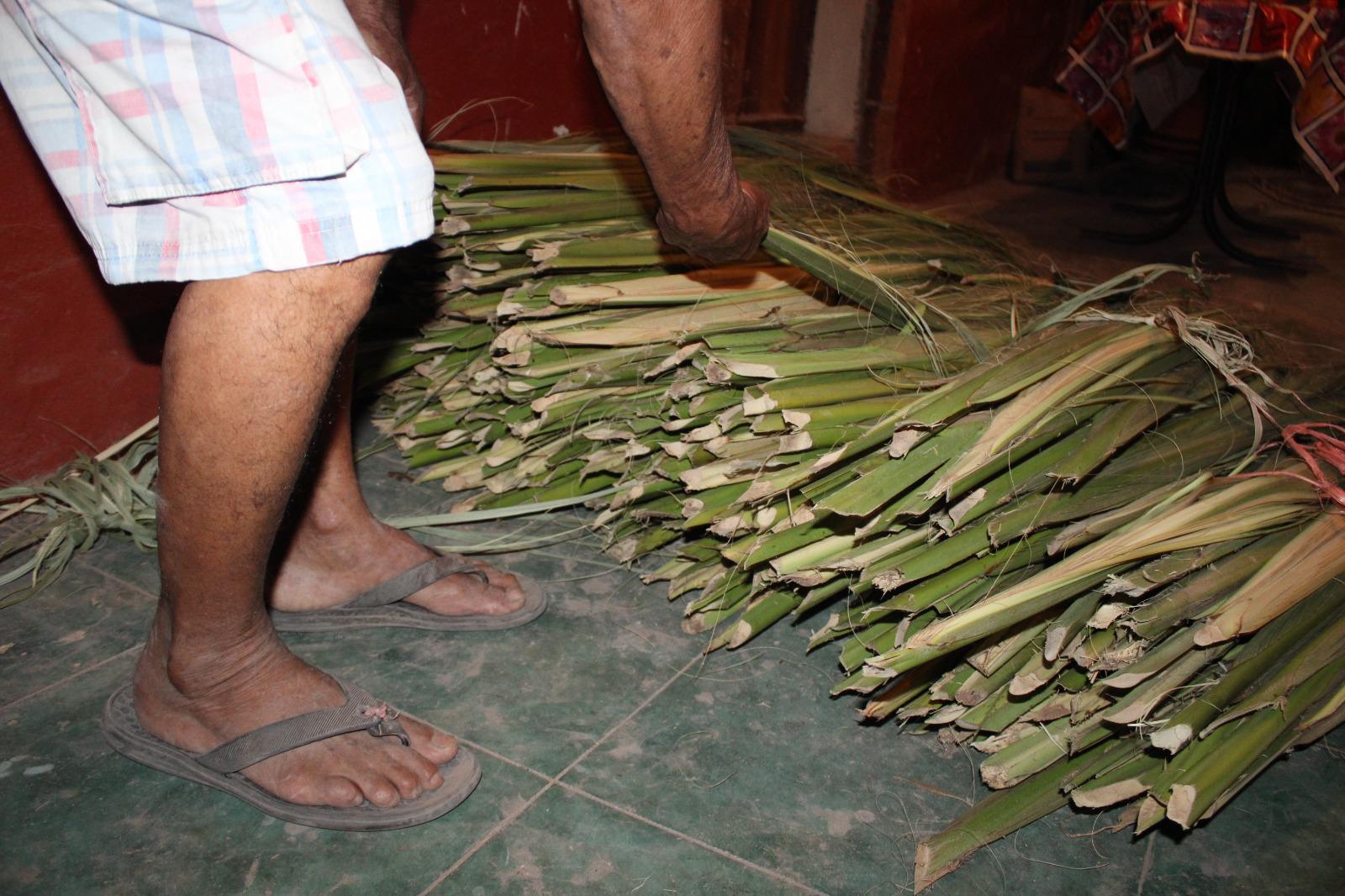 $!Cumple familia López Ortiz 150 años de tradición en la venta de palma