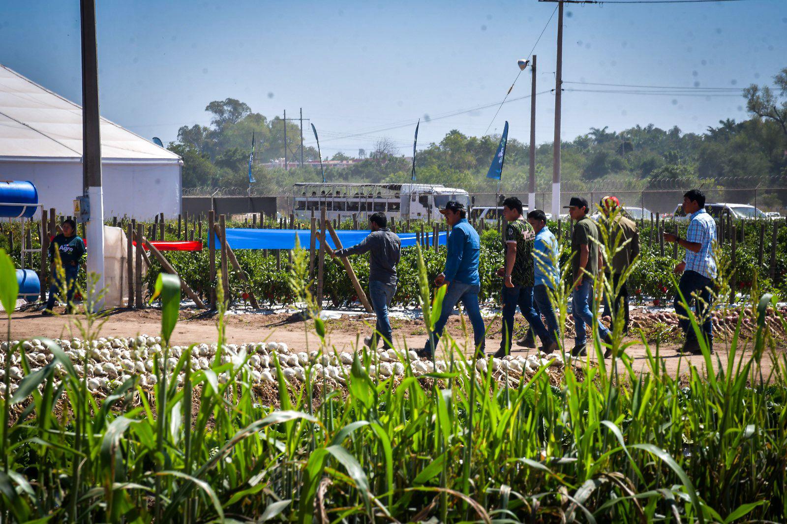 $!Arranca la Expo Agro Sinaloa 2026 en Culiacán; reúne a productores, empresas y autoridades