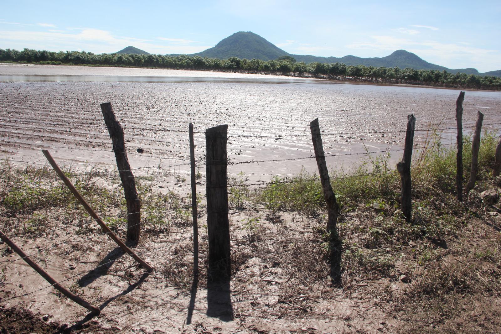 $!Por temas económicos, productores en Rosario optan por reducir superficie de siembra